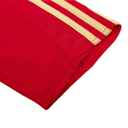 Camiseta retro de fútbol local de España 2008